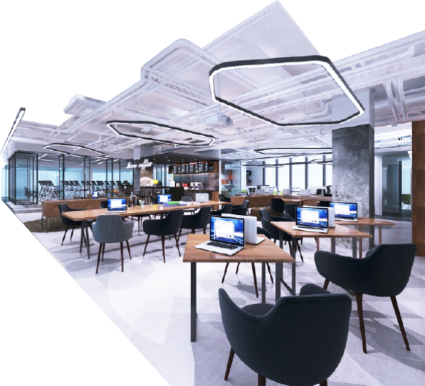 DigiBird office DigiBird Office